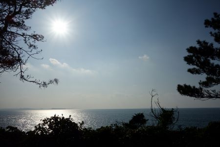 波戸岬キャンプ場から見た海