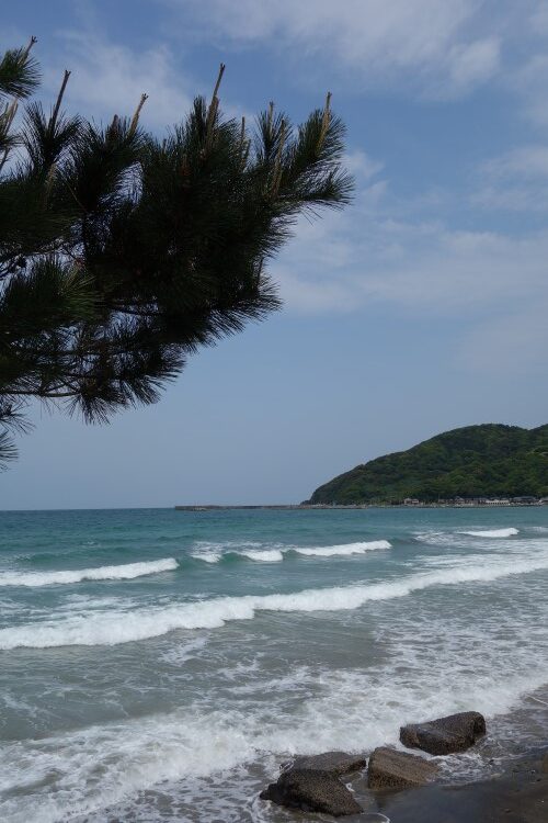 糸島の海