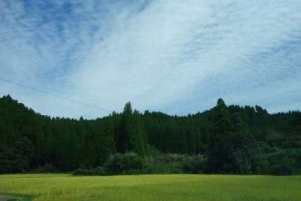 熊本県阿蘇郡南小国町の里山風景