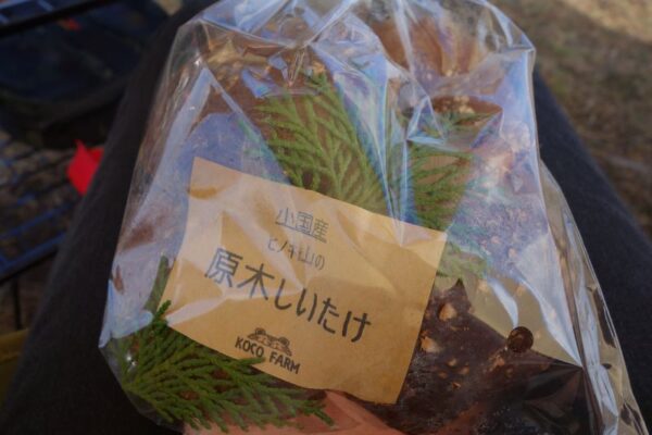 薬味野菜の里小国で購入した原木シイタケ