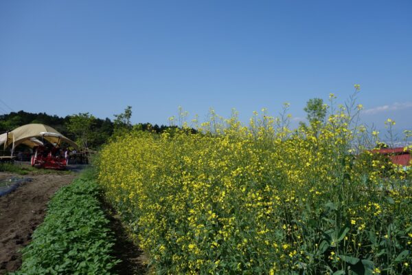 スノーピーク油山福岡キャンプフィールド