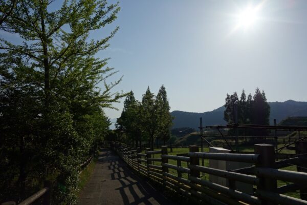 スノーピーク油山福岡キャンプフィールドの朝