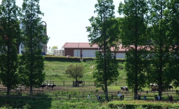 スノーピーク油山福岡キャンプフィールドの朝油山牧場