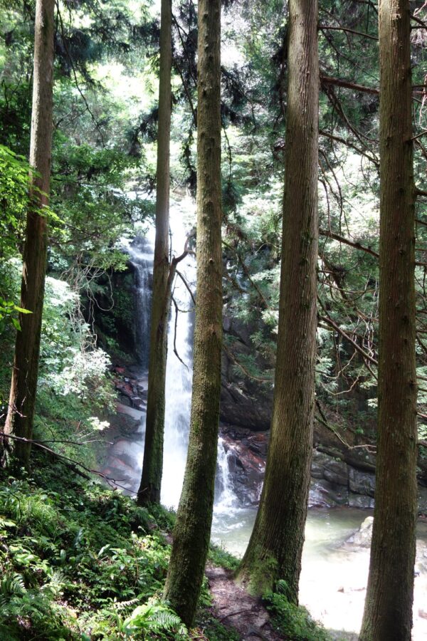 福岡市早良区花乱の滝