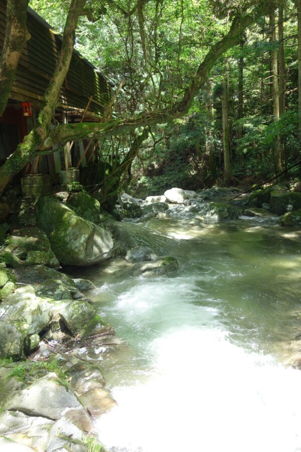 福岡市早良区花乱の滝