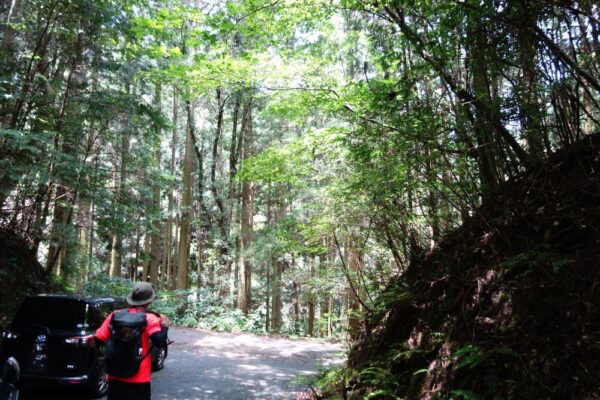 福岡市早良区花乱の滝