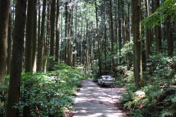 福岡市早良区花乱の滝