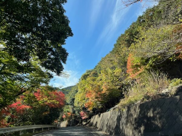 福岡県粕屋郡篠栗町樹芸の森公園紅葉