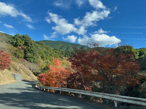 福岡県粕屋郡篠栗町樹芸の森公園紅葉