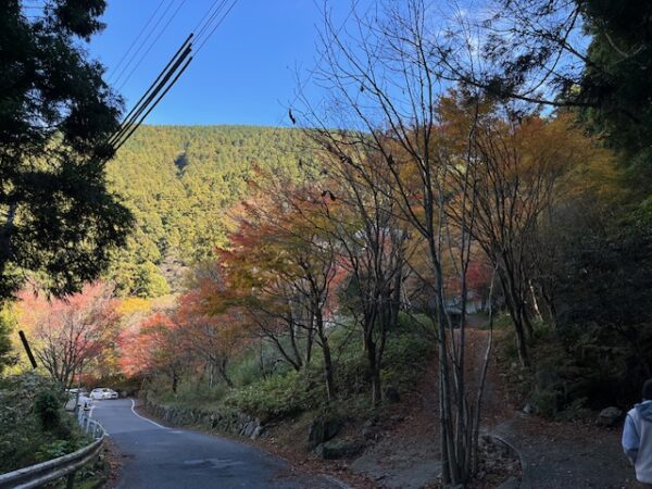 福岡県粕屋郡篠栗町茶房わらび野の紅葉