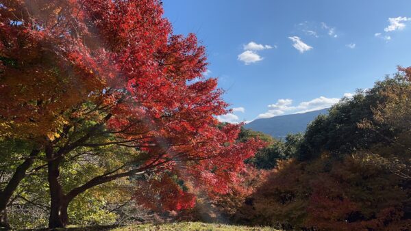 福岡県粕屋郡篠栗町紅葉みながら簡単お外ランチ