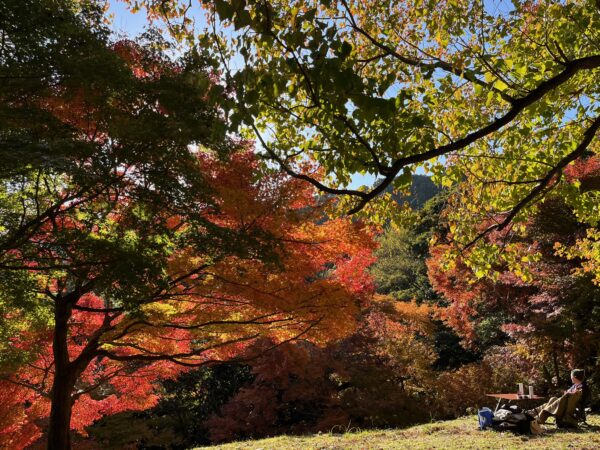 福岡県粕屋郡篠栗町紅葉みながら簡単お外ランチ