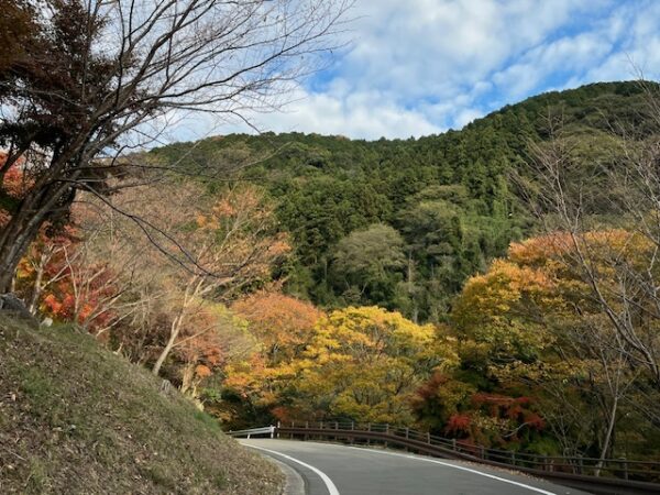 福岡県粕屋郡篠栗町紅葉みながら簡単お外ランチ