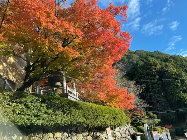 明石寺（福岡県粕屋郡篠栗町）厄除波切不動明王の紅葉