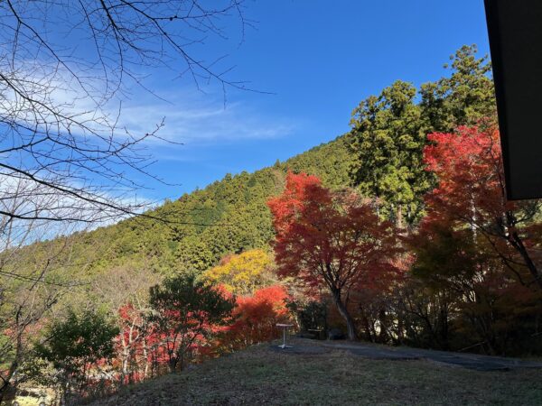 福岡県粕屋郡篠栗町茶房わらび野の紅葉