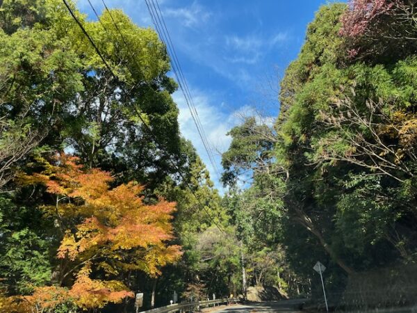 福岡県粕屋郡篠栗町紅葉