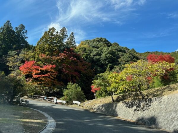 福岡県粕屋郡篠栗町樹芸の森公園紅葉