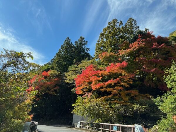 福岡県粕屋郡篠栗町紅葉