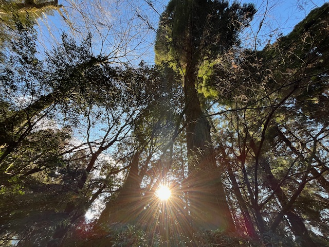 【2025年初詣・熊本へ】パワースポット日帰り旅（高千穂神社・幣立神宮・天岩戸神社）