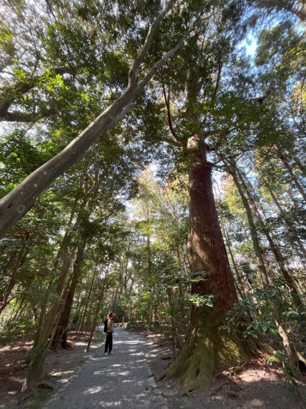 【伊勢志摩２泊３日旅行記】伊勢神宮外宮