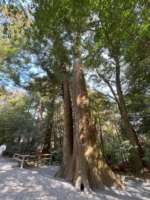 【伊勢志摩２泊３日旅行記】伊勢神宮外宮