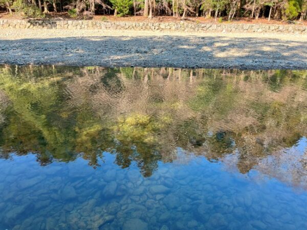 【伊勢志摩２泊３日旅行記】３日目・伊勢神宮内宮参拝と横山展望台の絶景と志摩うなぎ・伊勢神宮内宮