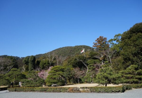 【伊勢志摩２泊３日旅行記】３日目・伊勢神宮内宮参拝と横山展望台の絶景と志摩うなぎ・伊勢神宮内宮