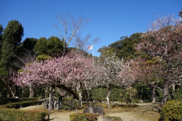 【伊勢志摩２泊３日旅行記】３日目・伊勢神宮内宮参拝と横山展望台の絶景と志摩うなぎ・伊勢神宮内宮
