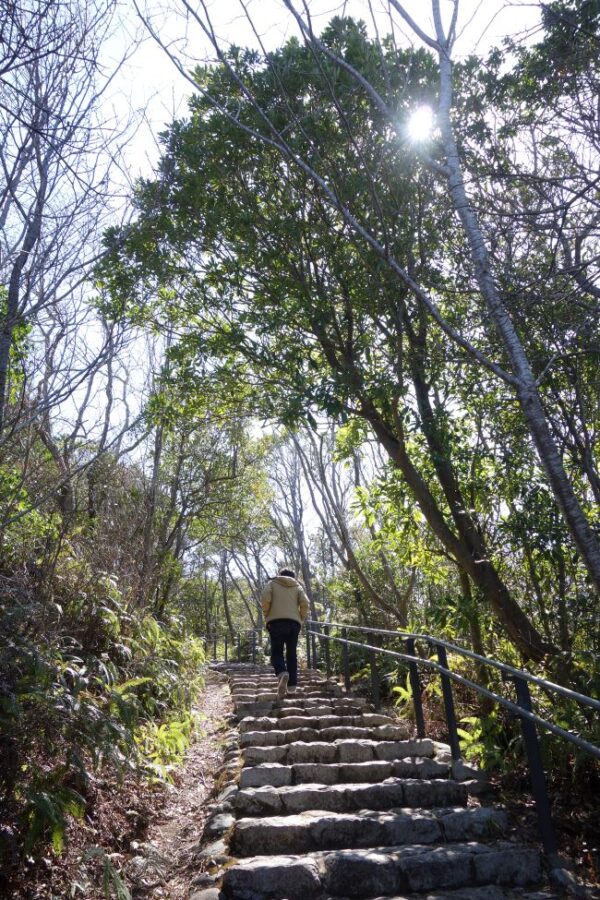 【伊勢志摩２泊３日旅行記】３日目・伊勢神宮内宮参拝と横山展望台の絶景と志摩うなぎ・横山展望台