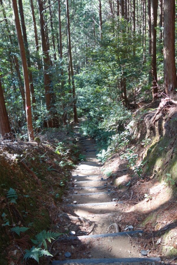 【伊勢志摩２泊３日旅行記】３日目・伊勢神宮内宮参拝と横山展望台の絶景と志摩うなぎ・天の岩戸・恵利原の水穴
