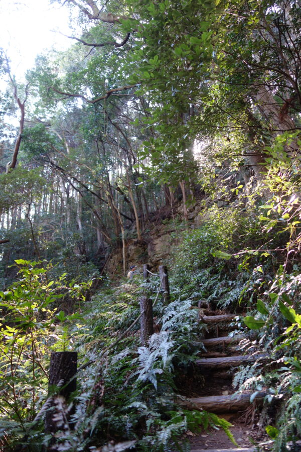 【伊勢志摩２泊３日旅行記】３日目・伊勢神宮内宮参拝と横山展望台の絶景と志摩うなぎ・天の岩戸・恵利原の水穴