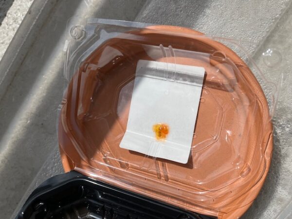 【マンションでベランダ菜園⑮】今年もやってます・種から育てるミニトマト！