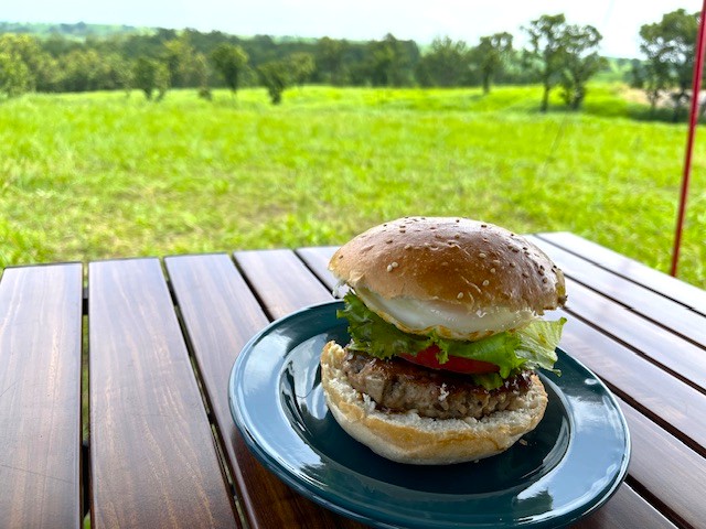 【押戸石の丘ディキャンプ】きよらカァサで買ったあか牛ハンバーグでハンバーガー作ってみた