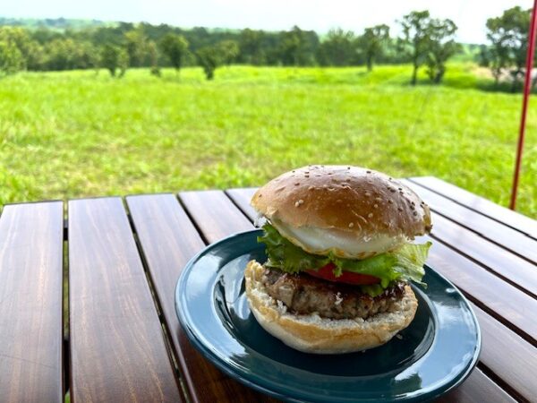 【押戸石の丘ディキャンプ】きよらカァサで買ったあか牛ハンバーグでハンバーガー作ってみた