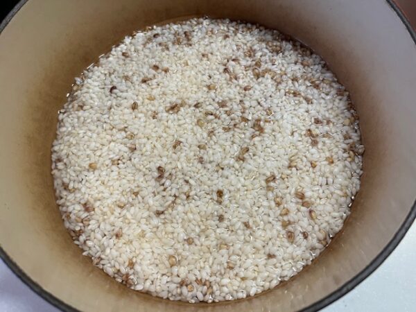 【とうもろこしご飯】備蓄してた古いお米で炊いてみたら最高に美味しかった！