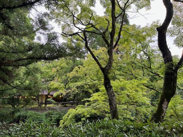 【宿泊レビュー】airbnb(エアビー)・湯布院温泉付貸別荘で”ととのう”癒しの3日間 湯布院鍵屋