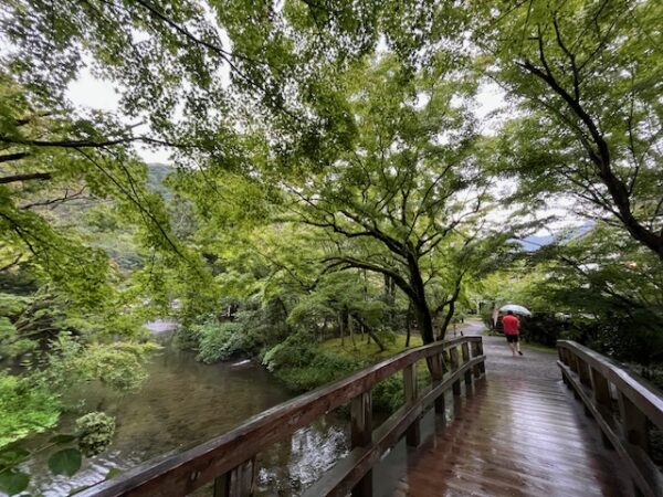 【宿泊レビュー】airbnb(エアビー)・湯布院温泉付貸別荘で”ととのう”癒しの3日間