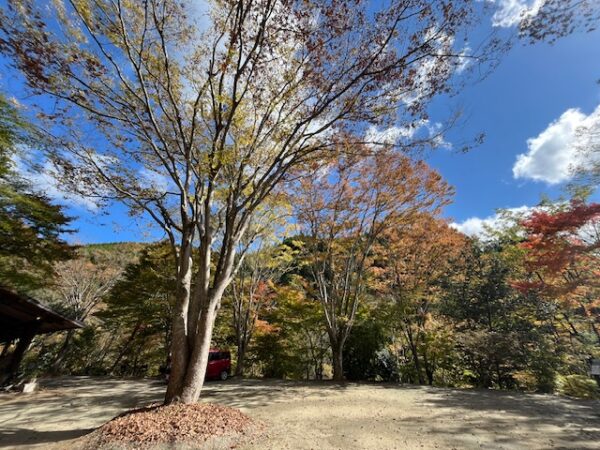 【阿蘇レインボーバレー】紅葉キャンプ!温泉・地獄蒸し・絶景かっぱ滝など満喫の2泊3日