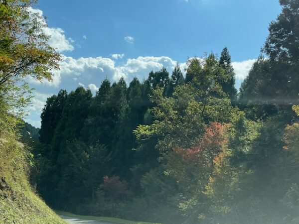 【阿蘇レインボーバレー】紅葉キャンプ!温泉・地獄蒸し・絶景かっぱ滝など満喫の2泊3日