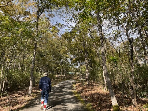 【阿蘇レインボーバレー】紅葉キャンプ!温泉・地獄蒸し・絶景かっぱ滝など満喫の2泊3日