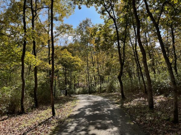 【阿蘇レインボーバレー】紅葉キャンプ!温泉・地獄蒸し・絶景かっぱ滝など満喫の2泊3日