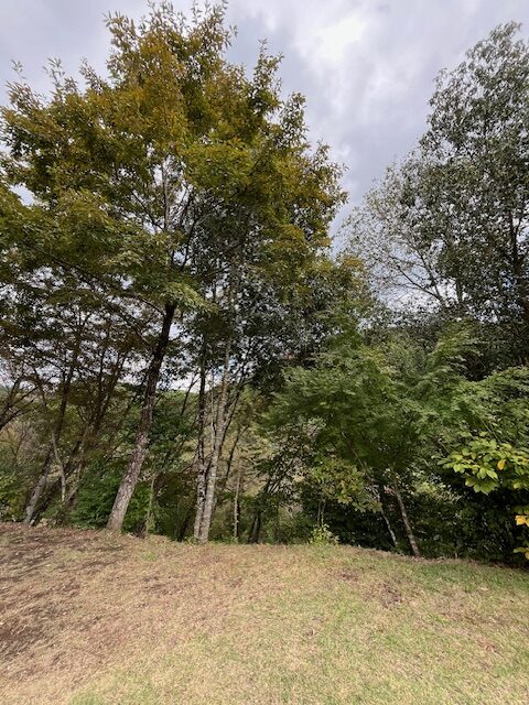 【阿蘇レインボーバレー】紅葉キャンプ!温泉・地獄蒸し・絶景かっぱ滝など満喫の2泊3日