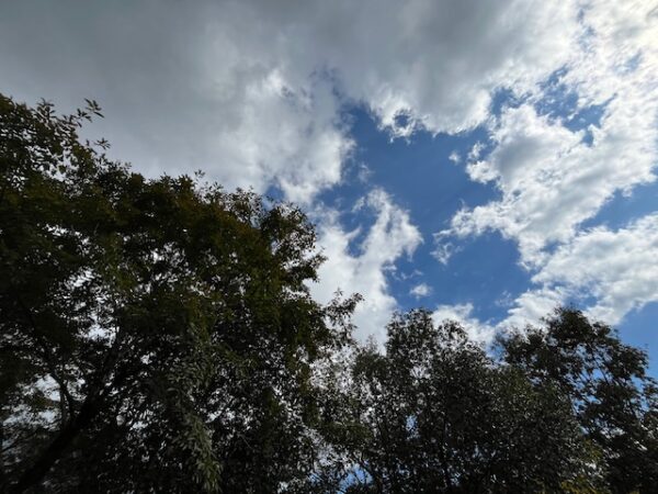 【阿蘇レインボーバレー】紅葉キャンプ!温泉・地獄蒸し・絶景かっぱ滝など満喫の2泊3日