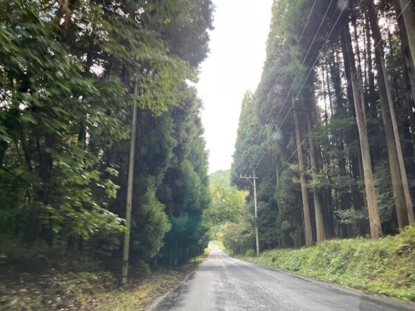 【阿蘇レインボーバレー】紅葉キャンプ!温泉・地獄蒸し・絶景かっぱ滝など満喫の2泊3日