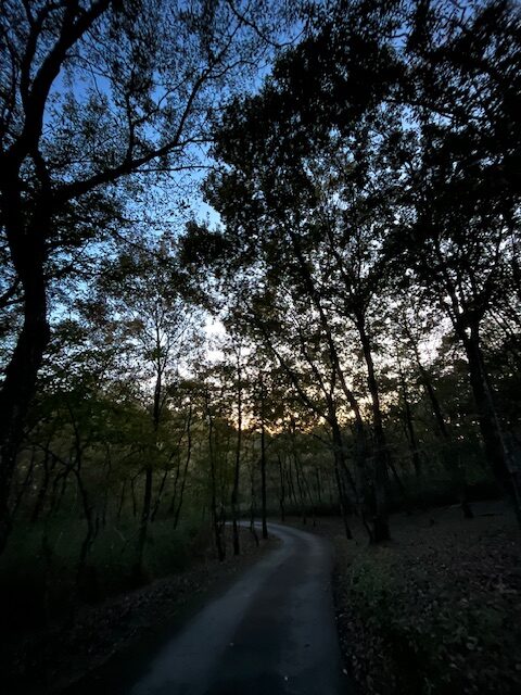 【阿蘇レインボーバレー】紅葉キャンプ!温泉・地獄蒸し・絶景かっぱ滝など満喫の2泊3日