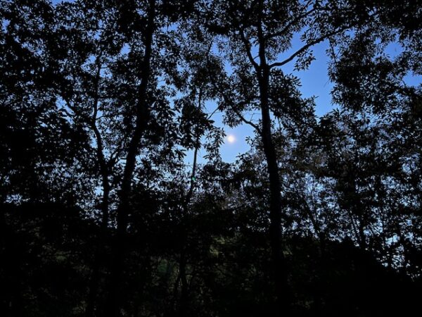 【阿蘇レインボーバレー】紅葉キャンプ!温泉・地獄蒸し・絶景かっぱ滝など満喫の2泊3日