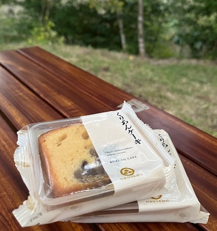 【阿蘇レインボーバレー】紅葉キャンプ!温泉・地獄蒸し・絶景かっぱ滝など満喫の2泊3日