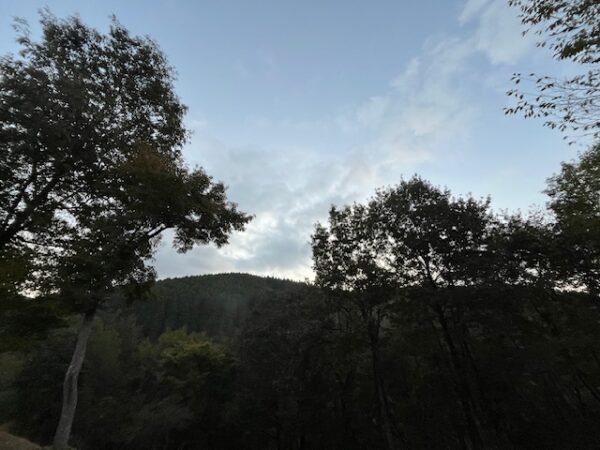 【阿蘇レインボーバレー】紅葉キャンプ！今日も朝からはげの湯温泉くぬぎ湯の家族露天風呂満喫（3日目）