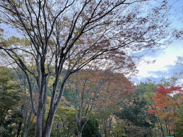 【阿蘇レインボーバレー】紅葉キャンプ！今日も朝からはげの湯温泉くぬぎ湯の家族露天風呂満喫（3日目）