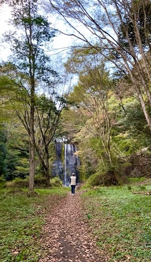【阿蘇レインボーバレー】紅葉キャンプ!温泉・地獄蒸し・絶景かっぱ滝など満喫の2泊3日